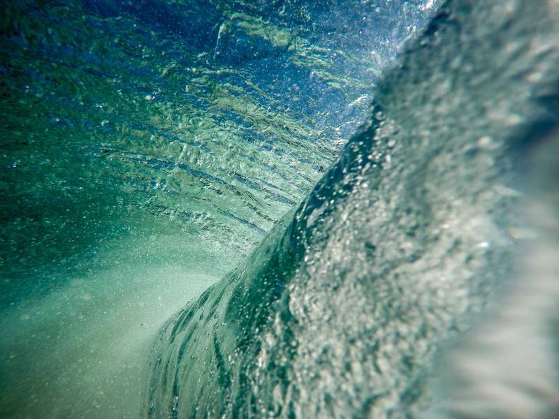 分歧者崛起<br>lyk4ls.cn 博学派抉择